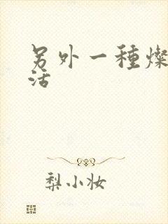 另外一种灿烂生活