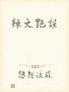 辣文艳说