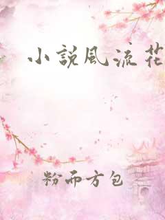 小说风流花少