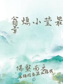 翁熄小莹最新节章