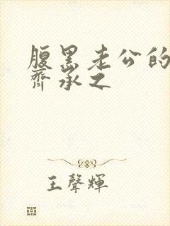 腹黑老公的宠妻齐承之