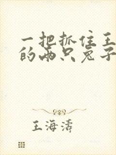 一把抓住王昭君的两只兔子