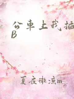 公车上我插上骚B