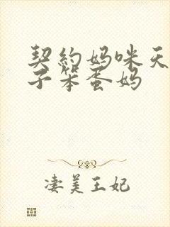 契约妈咪天才儿子笨蛋妈