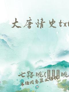 大唐情史txt