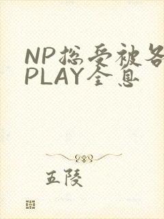 NP总受被各种PLAY全息