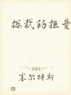 总裁的拒爱前妻