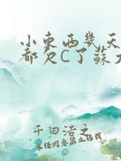 小东西几天没做都欠C了苏大深