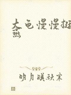 大龟慢慢挺进张燕