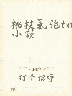 桃枝气泡txt小说