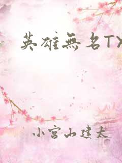 英雄无名TXT