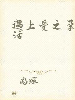 遇上爱之孕夫生活