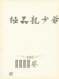 极品龙少爷