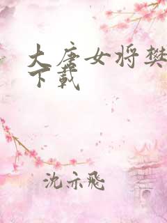 大唐女将樊梨花下载