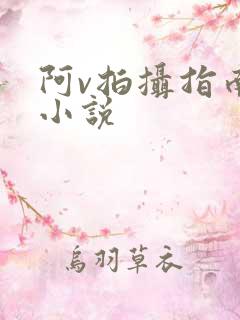阿v拍摄指南说小说