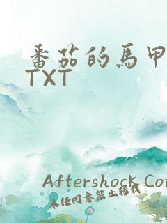 番茄的马甲小说TXT