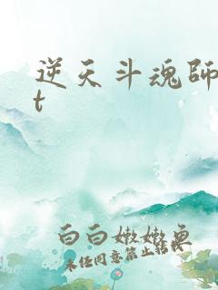 逆天斗魂师txt
