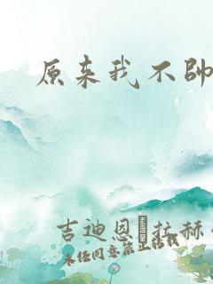 原来我不帅小说