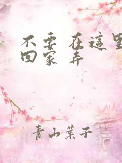不要 在这里 回家 弄