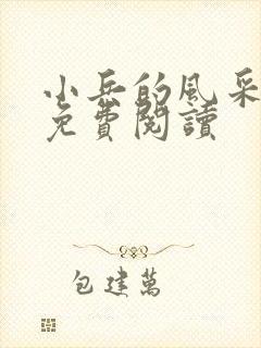 小兵的风采小说免费阅读