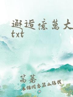 邂逅亿万大人物txt