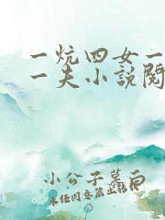 一炕四女一共侍一夫小说阅读
