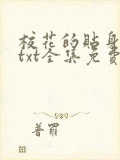 校花的贴身保镖txt全集免费下载