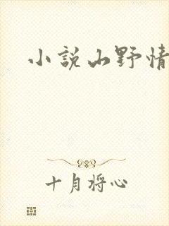 小说山野情债