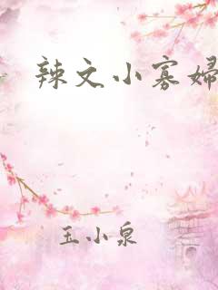辣文小寡妇