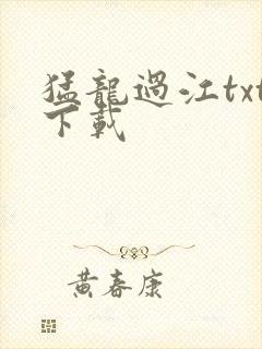 猛龙过江txt下载
