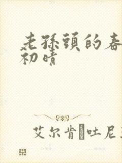 老孙头的春天林初晴