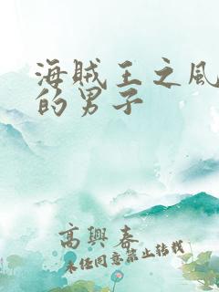 海贼王之风一样的男子