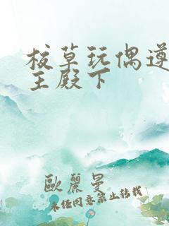 校草玩偶遵命公主殿下