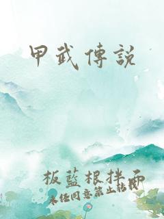 甲武传说