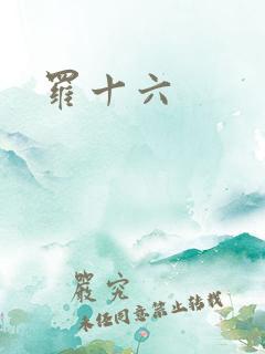 罗十六