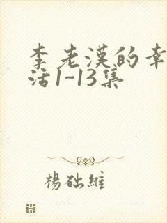 李老汉的幸福生活1-13集