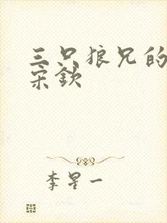 三只狼兄的宠妻宋钦