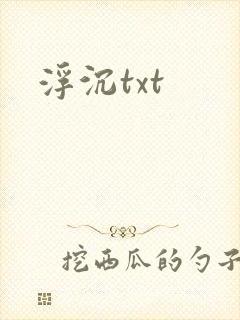 浮沉txt
