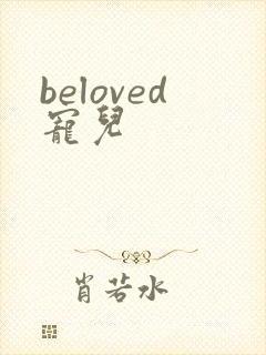 beloved宠儿