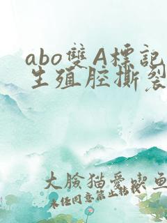 abo双A标记生殖腔撕裂