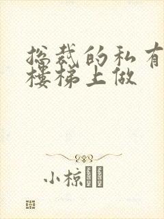 总裁的私有宝贝楼梯上做