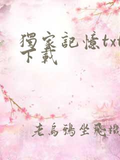 独家记忆txt下载