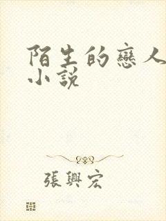 陌生的恋人原著小说