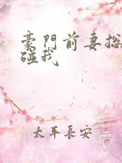 豪门前妻总裁别碰我