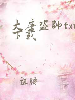 大唐盗帅txt下载