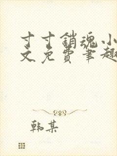 寸寸销魂小说全文免费笔趣阁