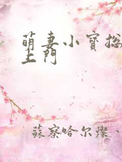 萌妻小宝总裁找上门