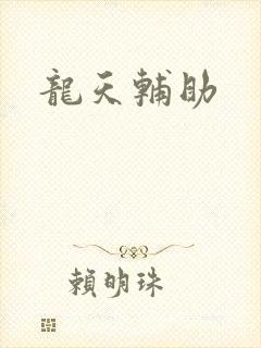 龙天辅助