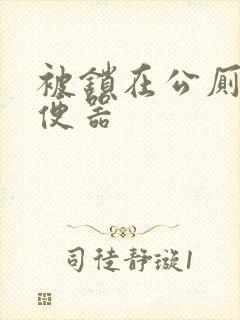 被锁在公厕当坐便器