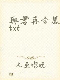 与君再合凤求凰txt